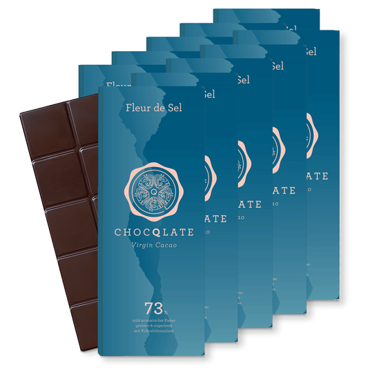 CHOCQLATE Bio Schokolade FLEUR DE SEL 10er Packung