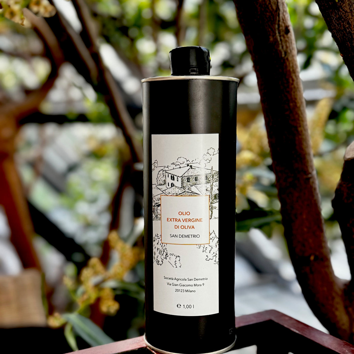 Bio Olivenöl extra vergine 250 ml – Flasche in Produktansicht